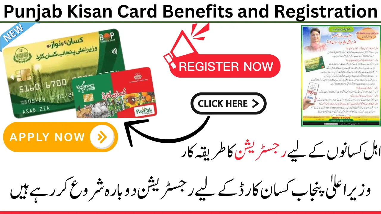 Punjab Kisan Card Benefits and Registration Procedure for Eligible Farmers in Oct 2024