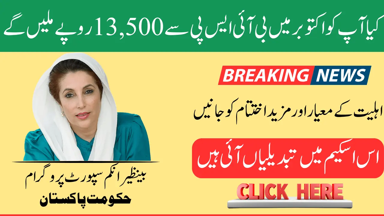 Will You Get Rs 13,500 from BISP in October? Know Eligibility Criteria and More Ends