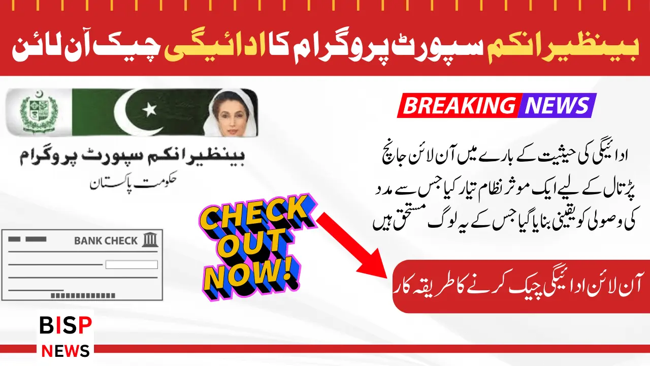 Benazir Income Support Program New Payment Check Online Method 2024